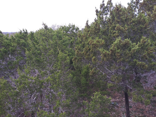 Cabin Rental Agency «Paluxy River Bed Cabins», reviews and photos, 1319 FM 205, Glen Rose, TX 76043, USA