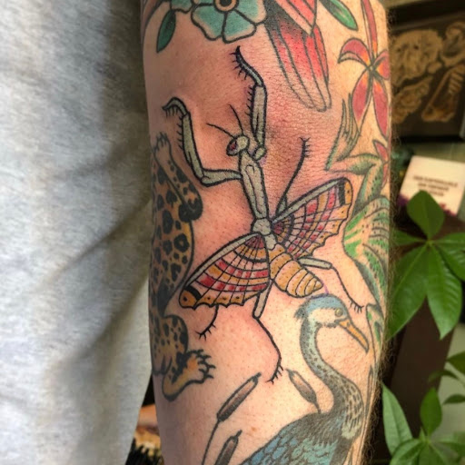 Explore women's tattoo sleeve ideas, creative tattoo ideas in Lawrence, available at Standard Electric Tattooing