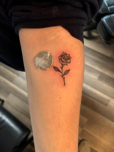 Explore beartooth tattoo ideas, creative tattoo ideas in Deerfield Beach, available at Black Rose Tattoo Studio