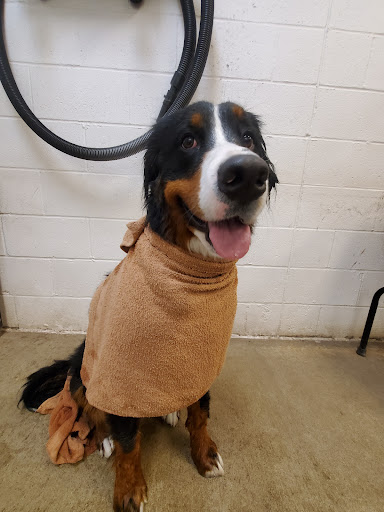 Pet Supply Store «PetSmart», reviews and photos, 2026 Lincoln Way E, Massillon, OH 44646, USA