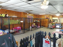 Loving Touch Grooming & Boarding, LLC - Photo 3 - Car repair in Columbus, GA, Columbus