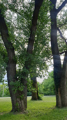 Park «Watkins Park», reviews and photos, 2360 Doctor M.L.K. Jr St, Indianapolis, IN 46208, USA