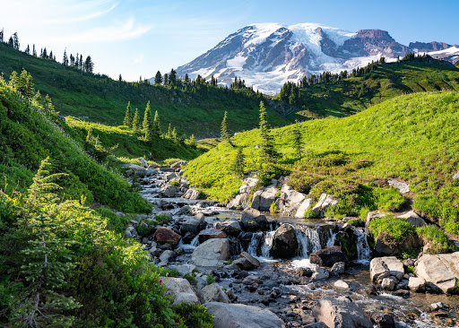 Parque Nacional del Monte Rainier