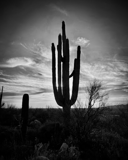 Tourist Attraction «Linda Vista Trail», reviews and photos, 730 E Linda Vista Rd, Oro Valley, AZ 85737, USA
