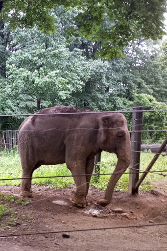 Park «River Park», reviews and photos, Boston Rd, Bronx, NY 10460, USA