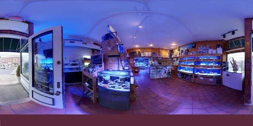 Tropical Fish Store «House of Fins», reviews and photos, 99 Bruce Park Ave, Greenwich, CT 06830, USA