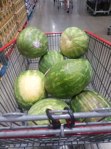 Warehouse store «Costco Wholesale», reviews and photos, 198 N 1200 E, Lehi, UT 84043, USA