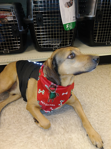 Pet Supply Store «PetSmart», reviews and photos, 711 US-41, Schererville, IN 46375, USA
