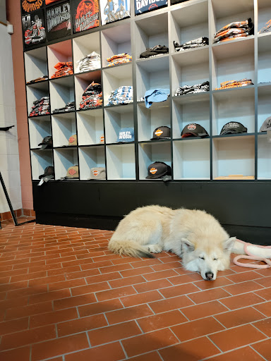 Harley-Davidson Dealer «South East Harley-Davidson», reviews and photos, 23105 Aurora Rd, Bedford Heights, OH 44146, USA