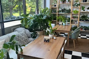 Plants + Coffee image