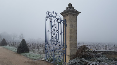 Château Carteau Pin de Fleurs à Saint-Émilion