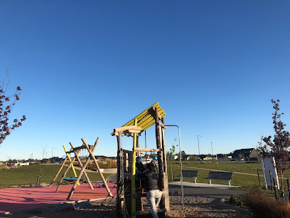 Acland Park reserve and playground