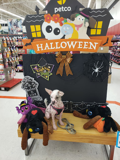 Pet Supply Store «Petco Animal Supplies», reviews and photos, 1049 S Willow St, Manchester, NH 03103, USA