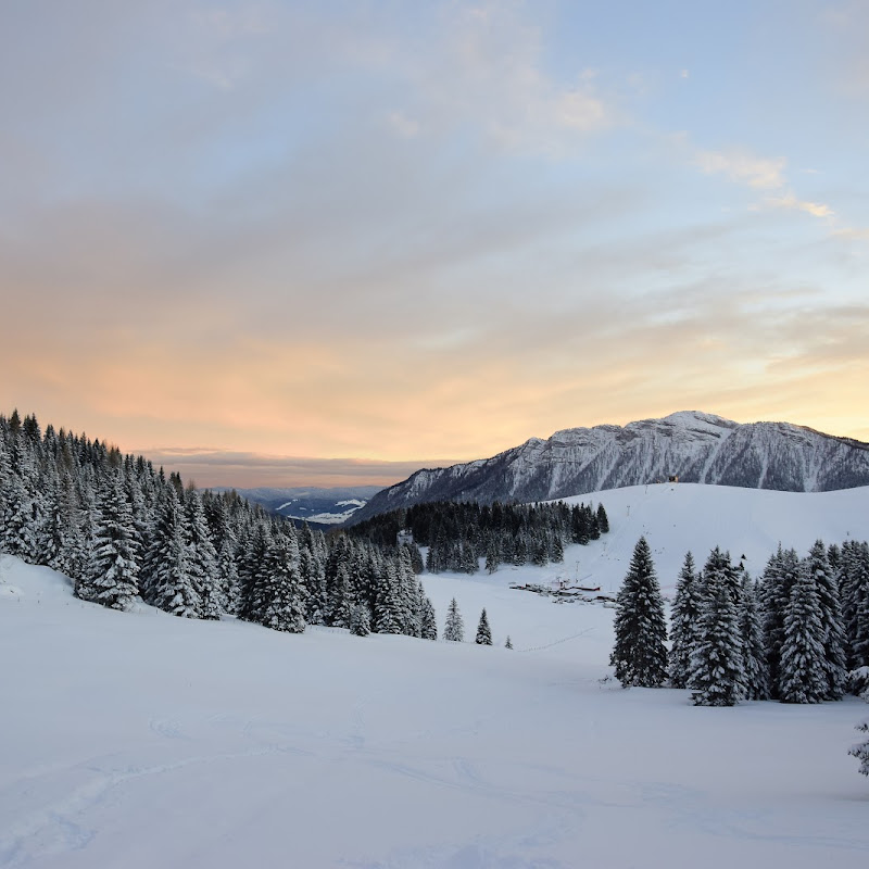 Asiago Guide - Escursioni guidate ed Esperienze di Vita Montana