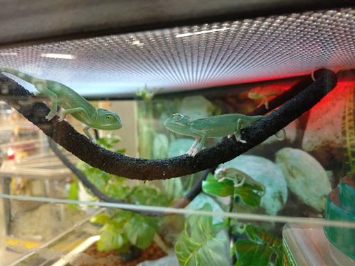 Pet Supply Store «Petco Animal Supplies», reviews and photos, 18578 Coastal Hwy #12, Rehoboth Beach, DE 19971, USA