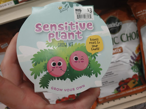 Discount Store «Big Lots», reviews and photos, 2445 Nashville Rd, Bowling Green, KY 42101, USA