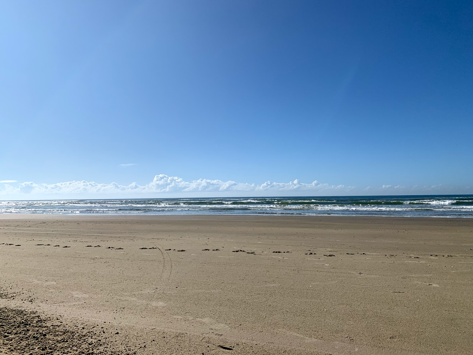 Praia de Albatroz的照片 具有非常干净级别的清洁度