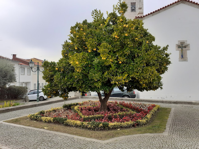 R. São Miguel 2, 5370-565 Mirandela, Portugal