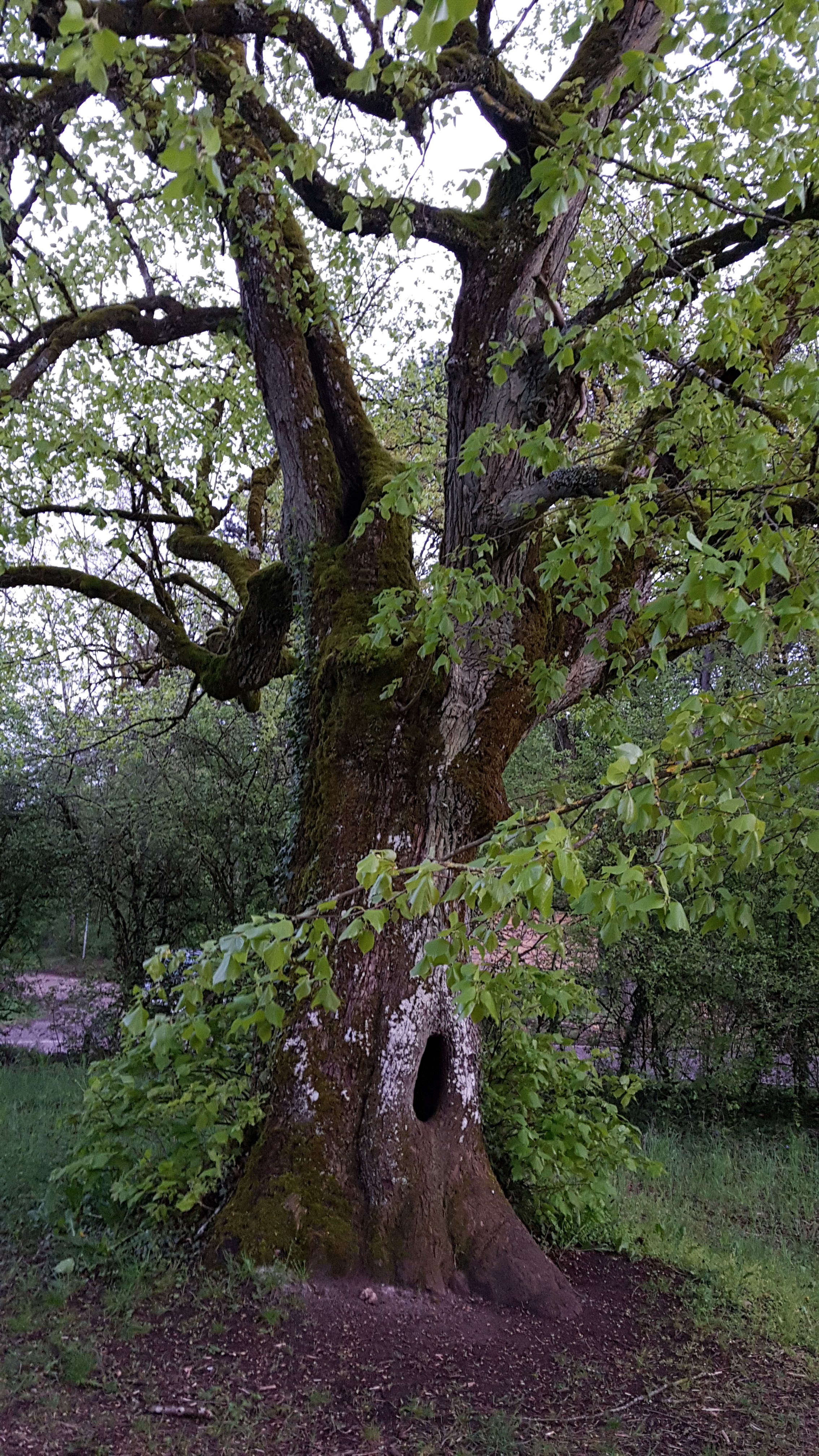 Photo n° 1 de l'avis de Pierre.N fait le 27/04/2019 à 19:22
