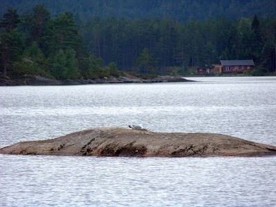 Photos of Neset Camping
