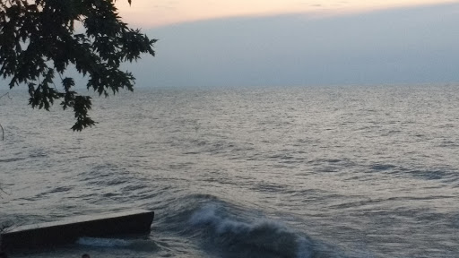 Winery «Old Firehouse Winery», reviews and photos, 5499 Lake Rd E, Geneva, OH 44041, USA