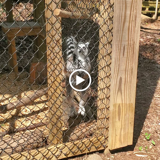 Zoo «Wildlife Wonders», reviews and photos, 2754 Paradise Valley Rd, Cleveland, GA 30528, USA