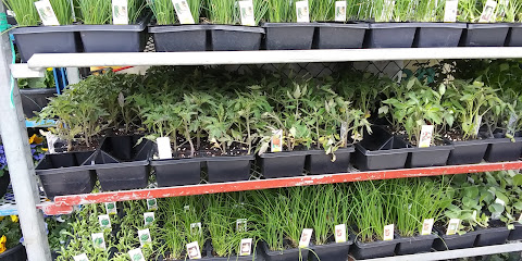 Wholesale plant nursery