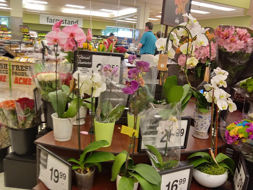 Shopping Mall «Bond Shopping Center», reviews and photos, 1891 S State Rd, Upper Darby, PA 19082, USA