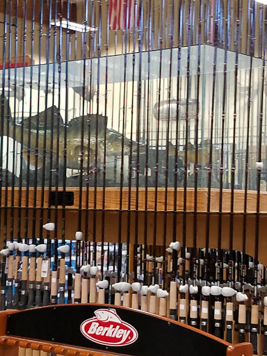 Sporting Goods Store «Outdoor Emporium», reviews and photos, 1701 4th Ave S, Seattle, WA 98134, USA