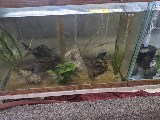 Pet Store «Animal Ark Pet Stores», reviews and photos, 33 Center St, Orem, UT 84057, USA