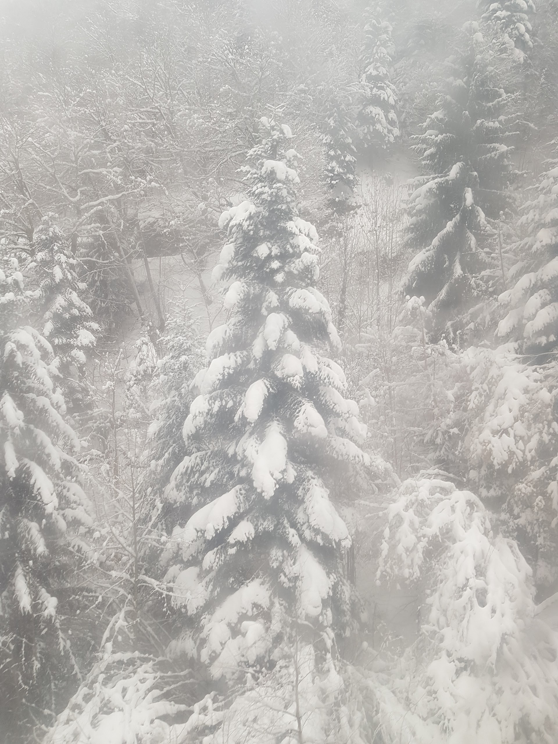 Photo n° 3 de l'avis de Serge.a fait le 08/02/2018 à 16:49