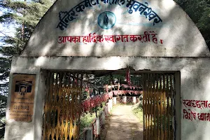 Patal Bhuvaneshwar Cave Temple image