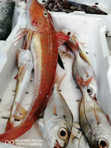 Pescheria Via Rione Nuovo, 8, 84070 Scario SA, Italia
