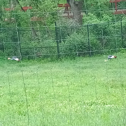 Zoo «Blank Park Zoo», reviews and photos, 7401 SW 9th St, Des Moines, IA 50315, USA