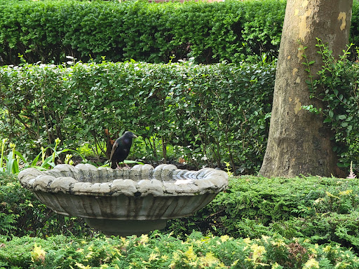 Paint Store «Forest Hills Hardware Paint Inc», reviews and photos, 11643 Queens Blvd, Forest Hills, NY 11375, USA