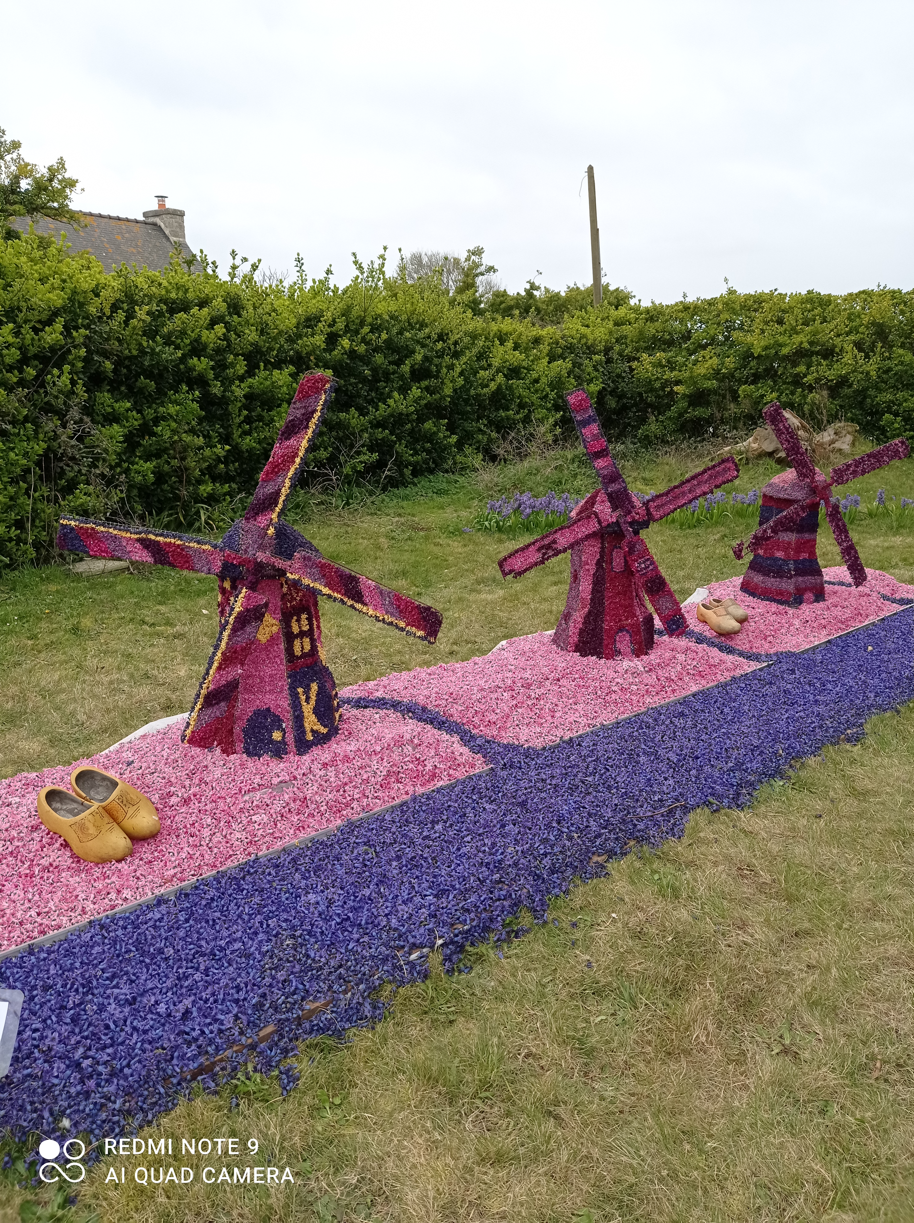 Photo n° 1 de l'avis de Isa. fait le 21/03/2021 à 14:45