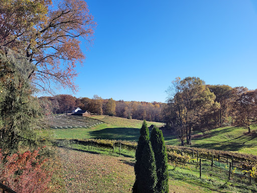 Winery «CeNita Vineyards, Winery & Tasting Room», reviews and photos, 591 Dock Dorsey Rd, Cleveland, GA 30528, USA