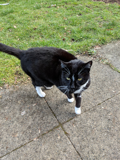 Park «Salmon Bay Park», reviews and photos, 2001 NW Canoe Pl, Seattle, WA 98117, USA