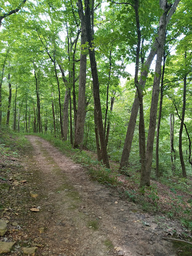 Lodge «Pere Marquette Lodge & Conference Center», reviews and photos, 13653 Lodge Blvd, Grafton, IL 62037, USA