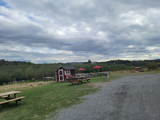 Orchard «Weed Orchards & Winery», reviews and photos, 43 Mt Zion Rd, Marlboro, NY 12542, USA