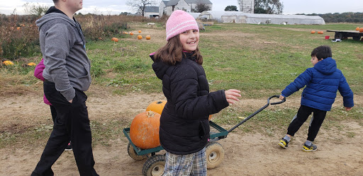 Produce Market «Solly Brothers», reviews and photos, 707 Almshouse Rd, Warminster, PA 18974, USA