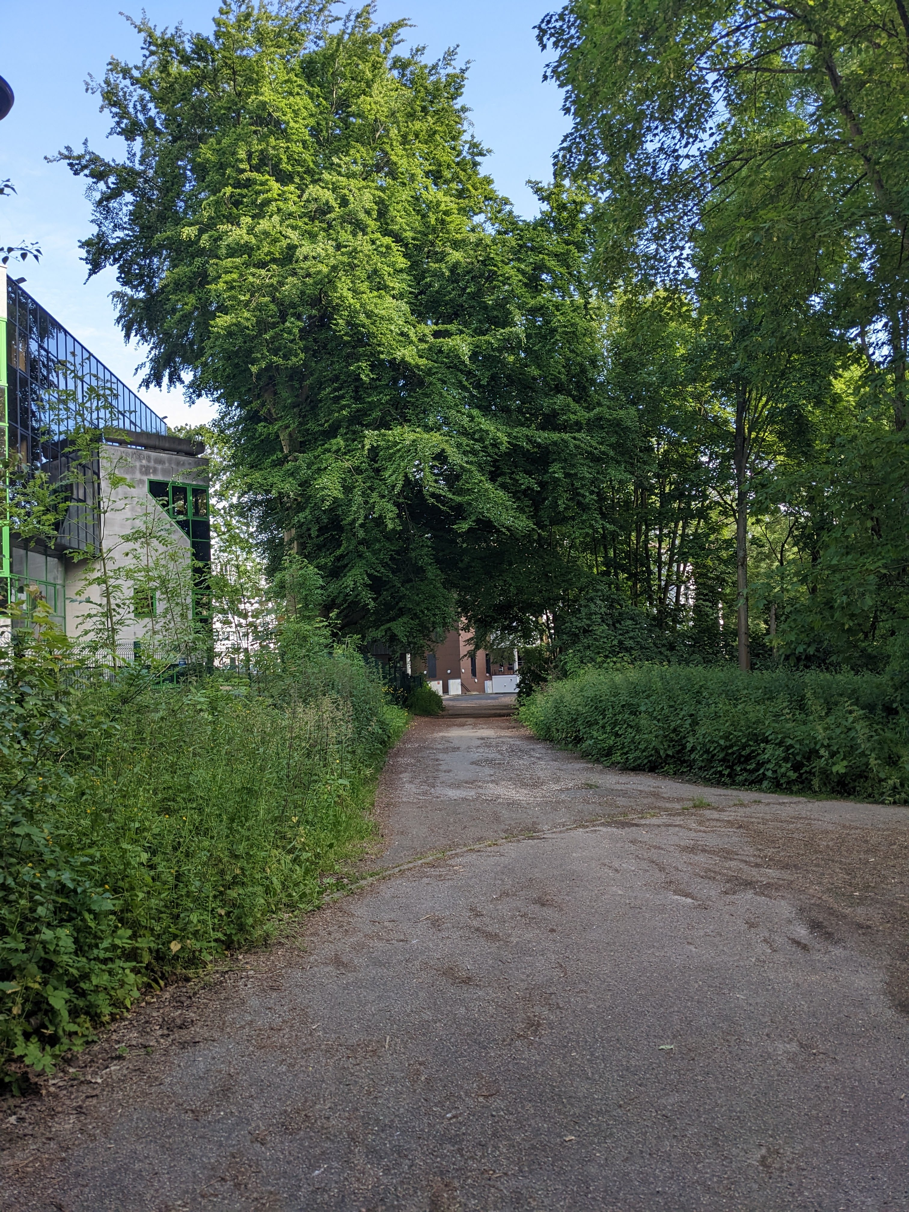 Photo n° 18 de l'avis de Süße. fait le 07/09/2022 à 13:15