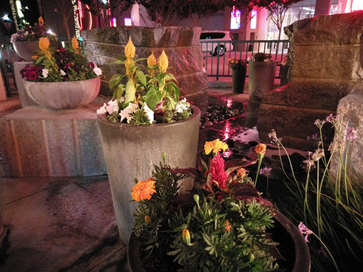 Coffee Shop «Starbucks», reviews and photos, 4930 Dublin Blvd #500, Dublin, CA 94568, USA