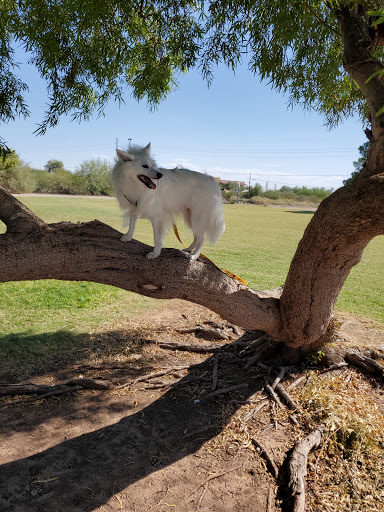 Park «Granada Park», reviews and photos, 6505 N 20th St, Phoenix, AZ 85016, USA