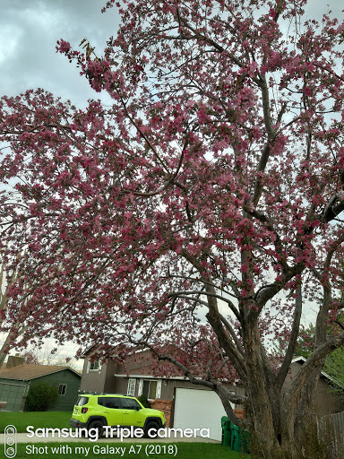 Park «Sweetwater Park», reviews and photos, 8300-1/2 Sweet Water Rd, Lone Tree, CO 80124, USA