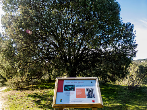 Urbanización Cerro de Alarcón en Valdemorillo