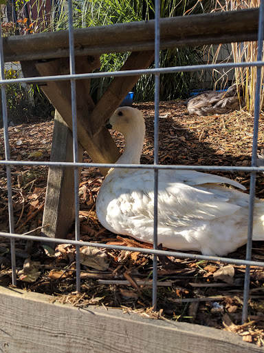 Park «Salmon Bay Park», reviews and photos, 2001 NW Canoe Pl, Seattle, WA 98117, USA