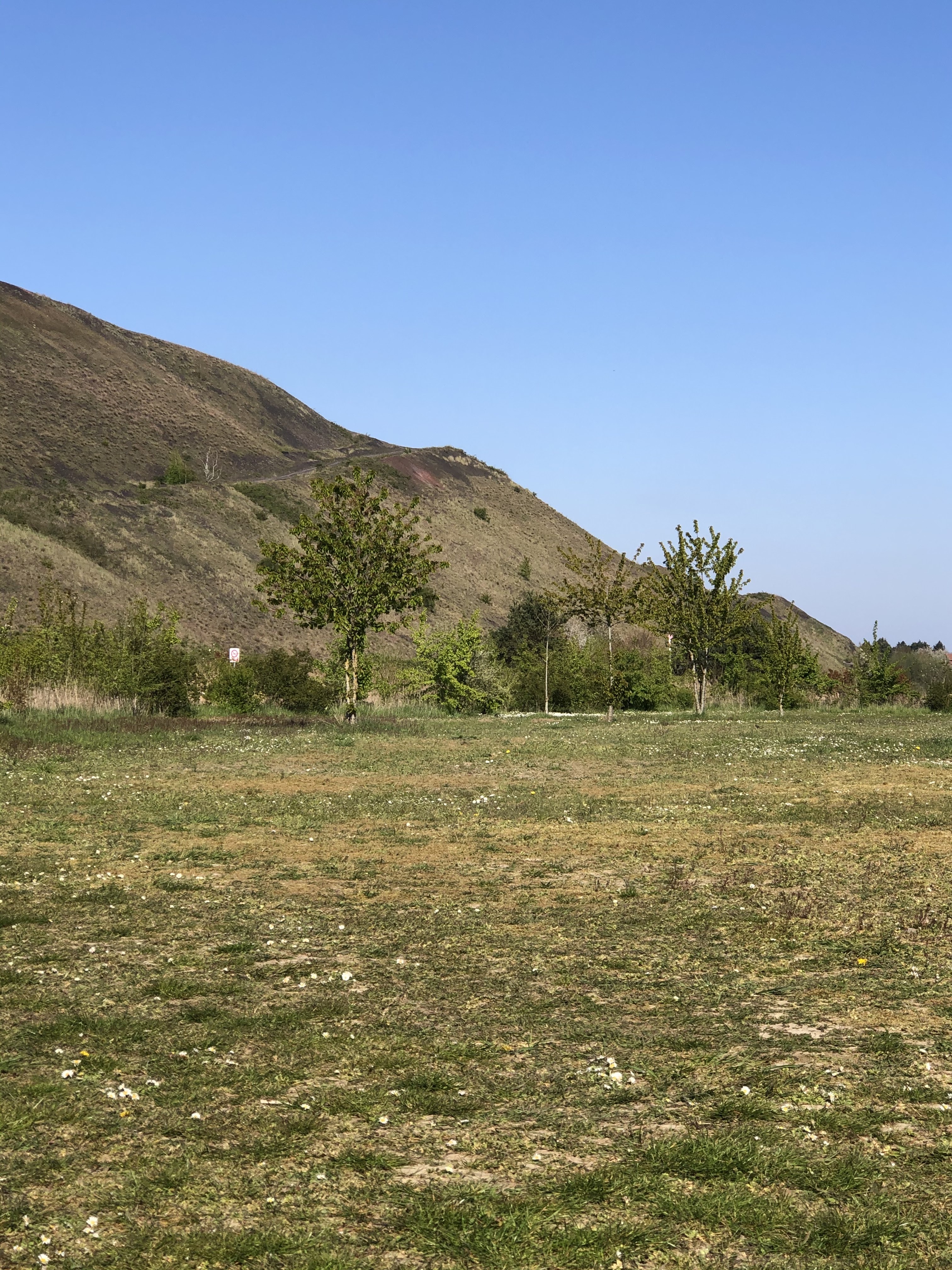 Photo n° 2 de l'avis de Mickaël. fait le 25/04/2021 à 15:15