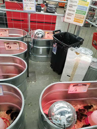 Home Improvement Store «Tractor Supply Co.», reviews and photos, 5431 Southern Maryland Blvd, Lothian, MD 20711, USA