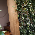 Photo n°1 de l'avis de Vici.a fait le 21/11/2021 à 20:44 sur le  Habitat Boutique Hotel à Catania